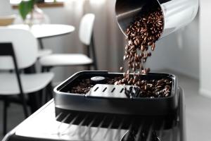 Кофемашина DeLonghi ECAM290.61.B Magnifica Evo