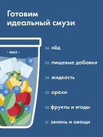 Блендер NutriBullet PRO NB908MASL